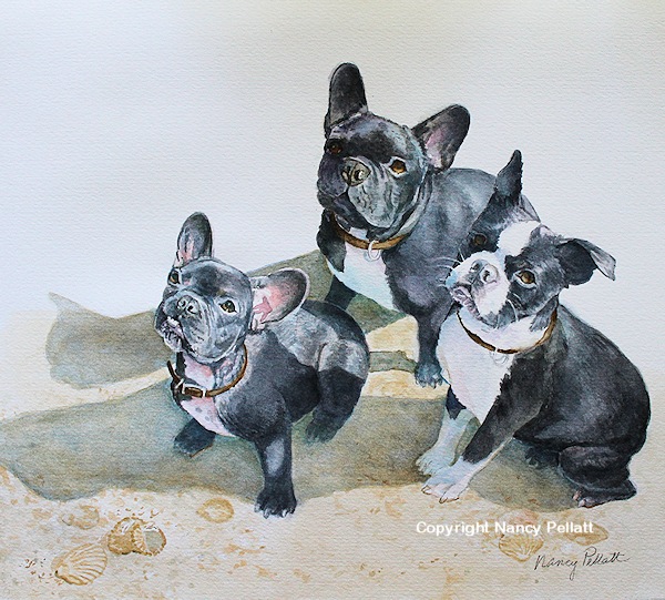 Frenchies and Friend